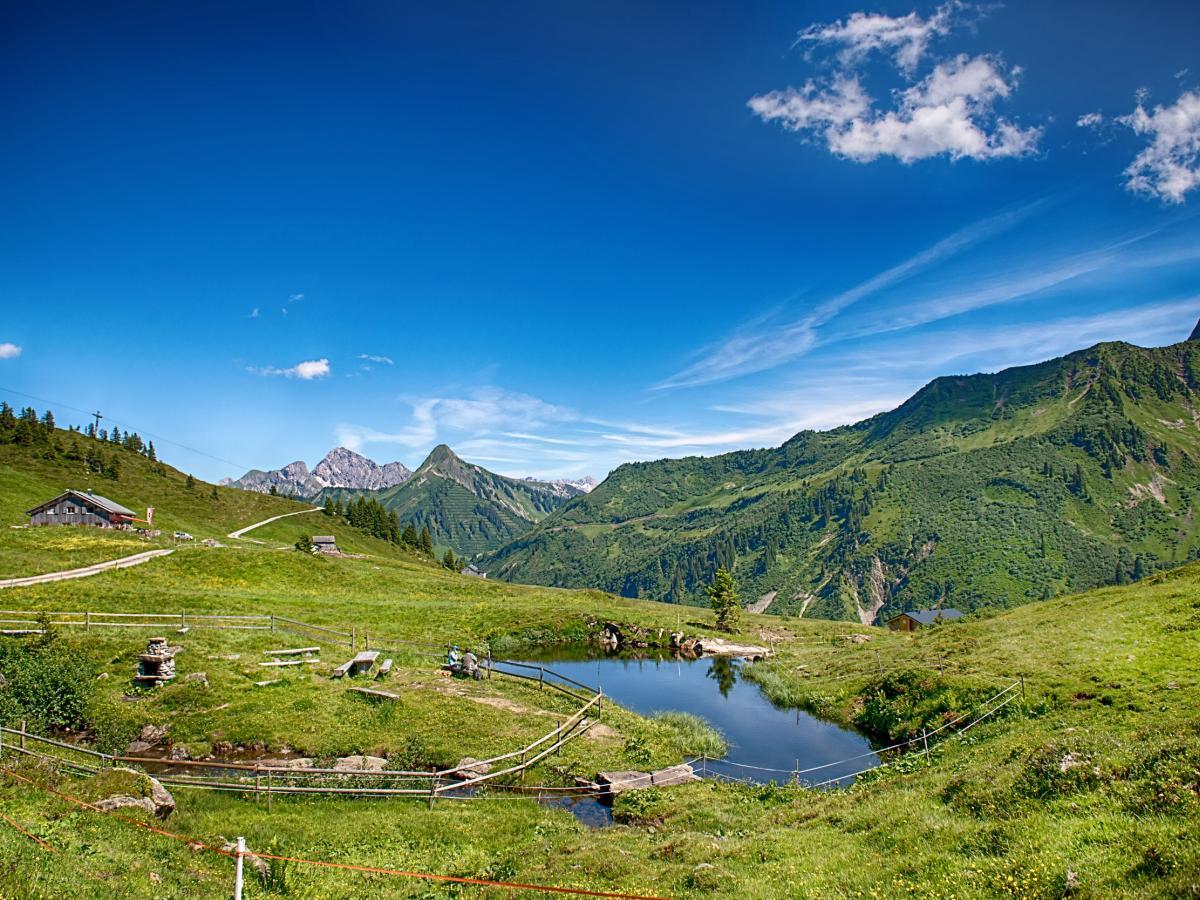 Anblick auf die Alpe Oberdamüls im Bregenzerwald im Sommer