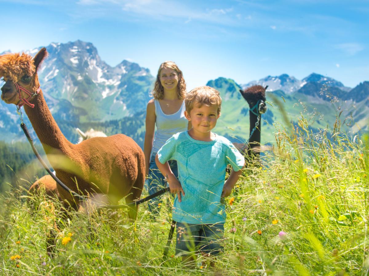 Familienwanderung mit Alpakas in Faschina im Bregenzerwald